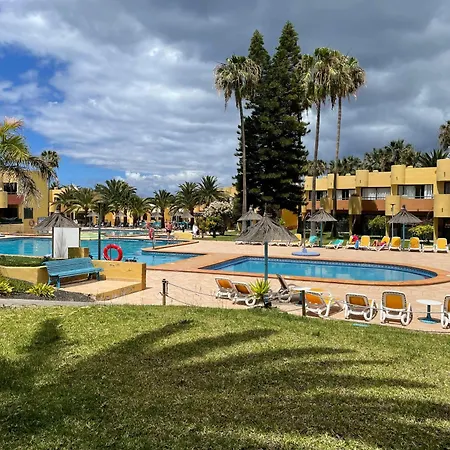 Paraiso Lulu * La Oliva